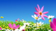 green meadows and flowers