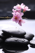 herapy stones with cherry flowerst