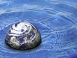 Tierra y agua