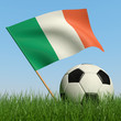 Soccer ball in the grass and flag of Ireland. Soccer ball in the grass and flag of Ireland.