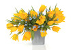 Spring Flower Beauty