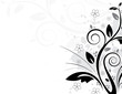 Floral background