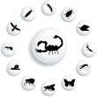 Set buttons - 125_B. Insects
