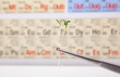 genetic engineering
