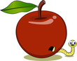 Maggot in the red apple