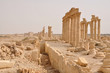 Palmyra ruins
