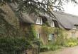 Photo: Cottage Cottage