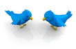 Blue Birds