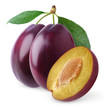 Plum