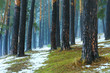 Snow