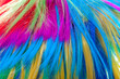 background color hair