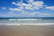 mare