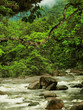 Mossman Gorge, North Queensland, Australia