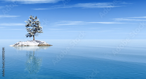 Photo: Tree Tree