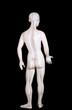 Statue mit Akupunktur-Meridianen / Rückseite