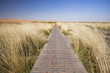 The path along the cliff reed The path along the cliff reed