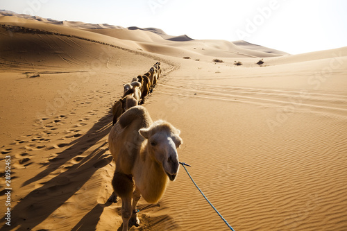 Photo: Sand desert ,china Sand desert ,china