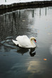 On lake