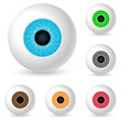 human eyeballs