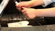 laver la palette de peinture