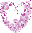 Heart from purple orchid. Vector Valentines card. Heart from purple orchid. Vector Valentines card.