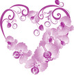 Heart from purple orchid. Vector Valentines card. Heart from purple orchid. Vector Valentines card.