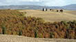 paesaggio della Val d'Orcia vicino a Pienza (Siena)