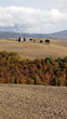 paesaggio della Val d'Orcia vicino a Pienza (Siena)