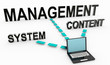 Content Management System