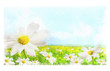 Digital watercolor of large shasta daisies in field
