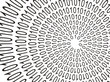 binary numbers, computer technology, complex