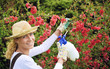 Young woman spraying tree