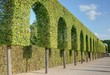 jardin allemand