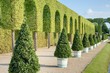 jardin allemand