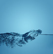 Foto: water splashing on blue water splashing on blue