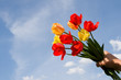 Beautiful bouquet of tulips