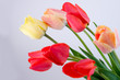 Beautiful bouquet of tulips