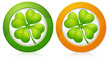 Clover in round