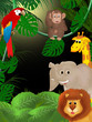 African animals