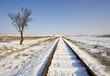 Railroad on the field in winter Railroad on the field in winter