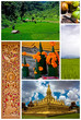 Laos Laos