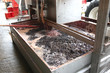Photo: Making wine Making wine