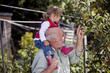 A grandfather carrying his granddaughter , picking apples