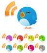 bird