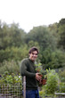 A young man on an allotment, holding strawberry plants