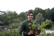 A young man on an allotment, holding strawberry plants