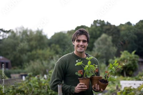 Photo: A young man on an allotment, holding strawberry plants A young man on an allotment, holding strawberry plants