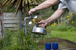 A man filling a kettle on an allotment