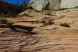 Zion park