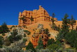 Bryce canyon
